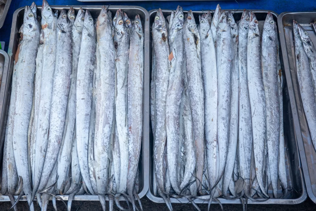 Fresh Fish Silver Color Raw