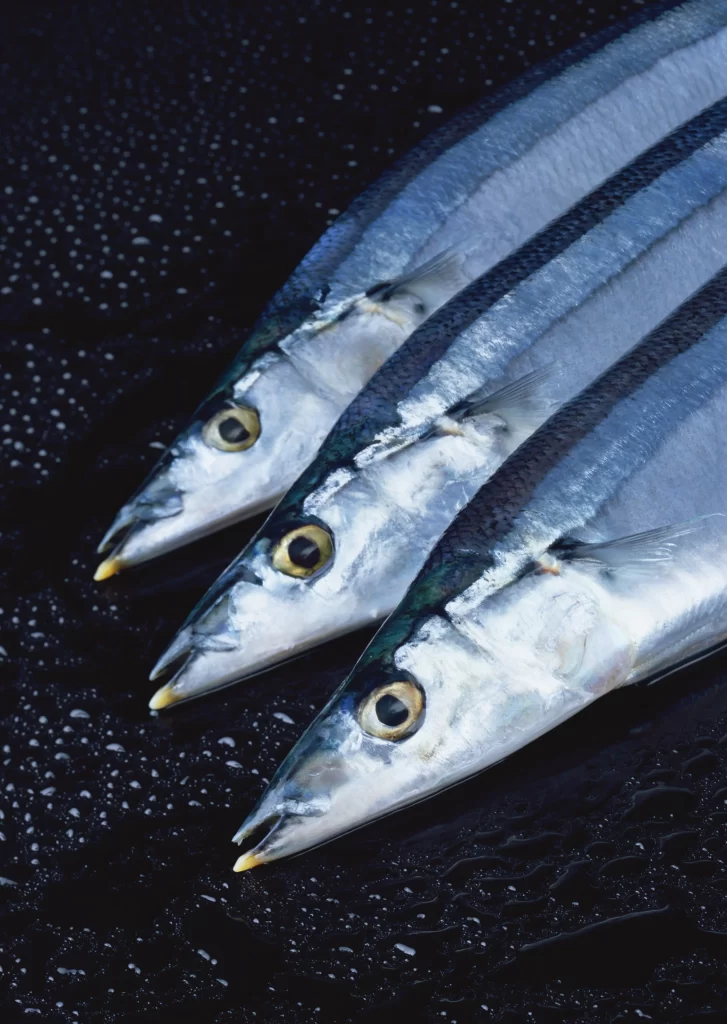Fresh Fish Silver Color Wet Surface