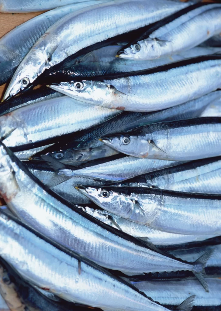 Fresh Fish Silver Color Whole