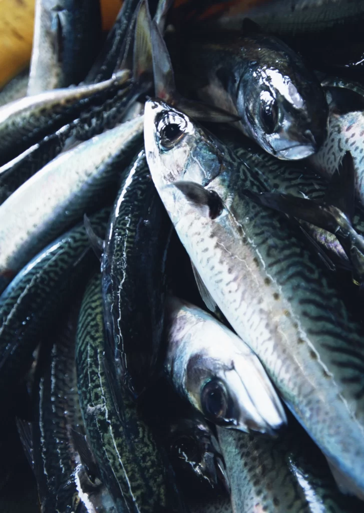 Fresh Fish Silver Scales Black Spots