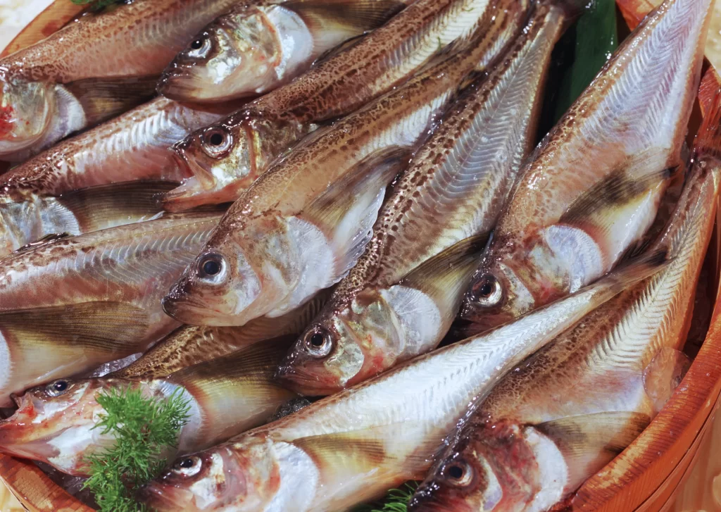 Fresh Fish Silver Scales Brown Spots Green Herbs