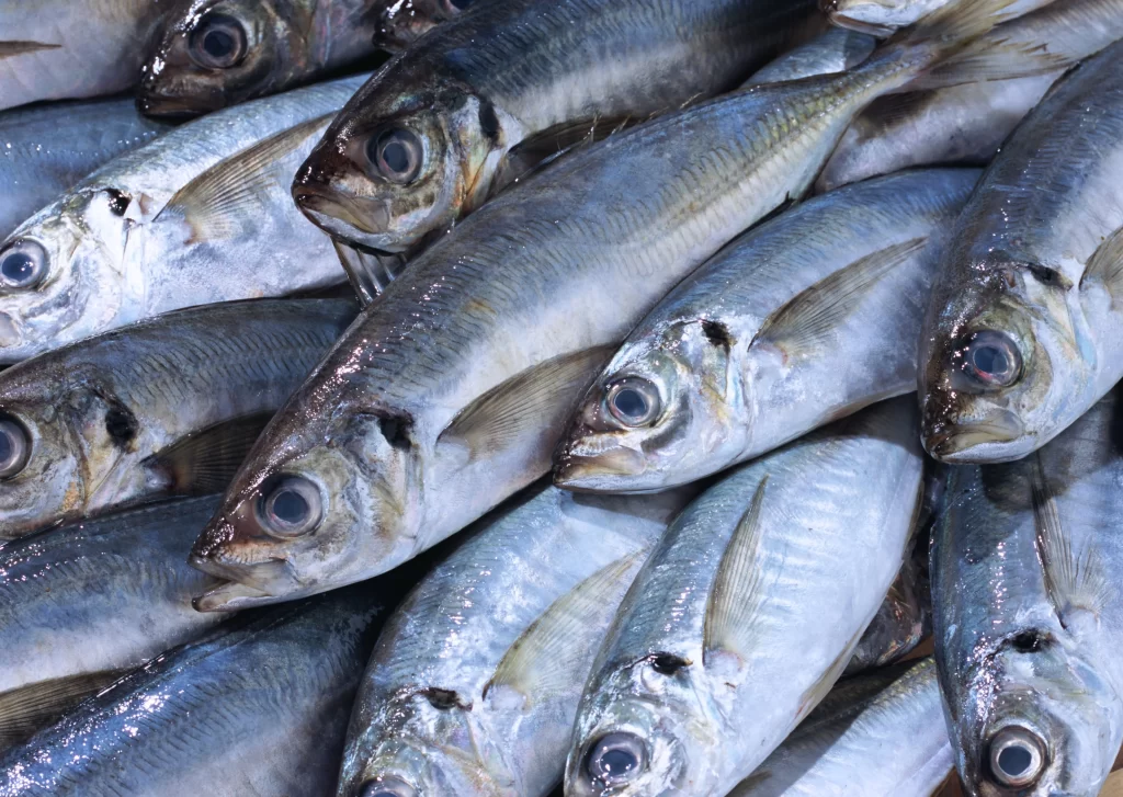 Fresh Fish Silver Scales Clear Eyes