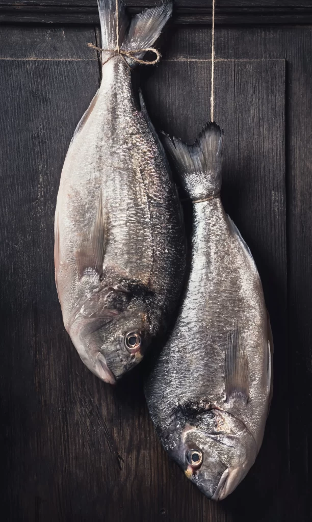 Fresh Fish Silver Scales Dark Background