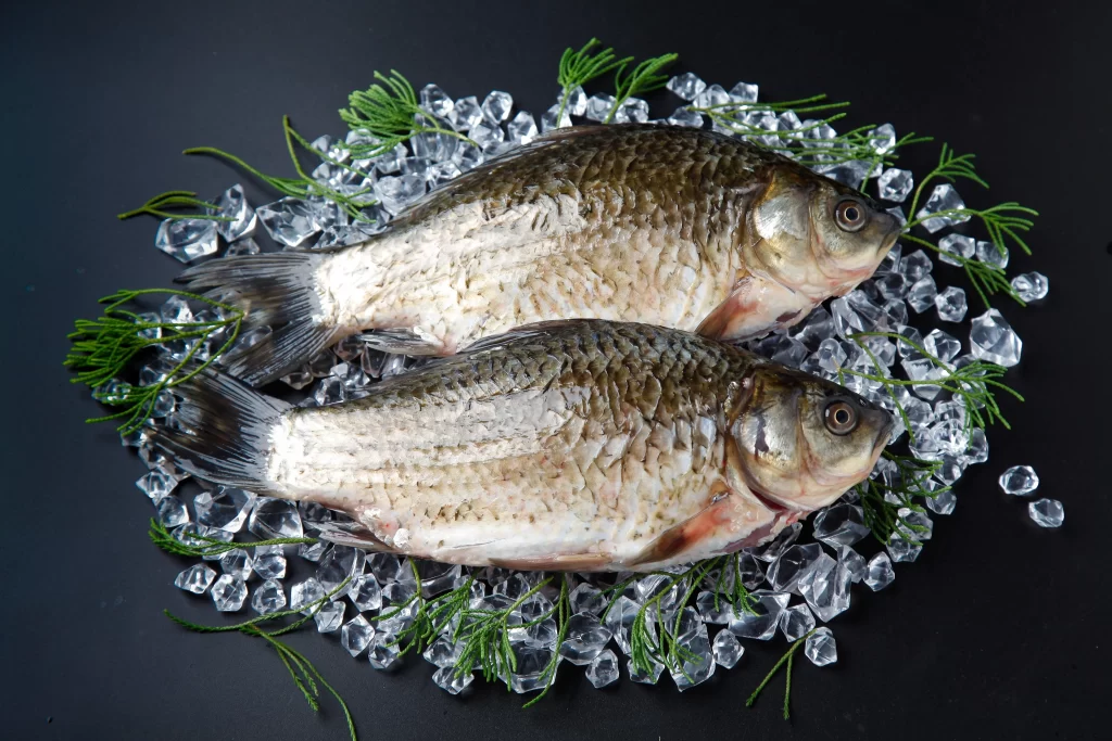 Fresh Fish Silver Scales Ice Crystals Green Herbs