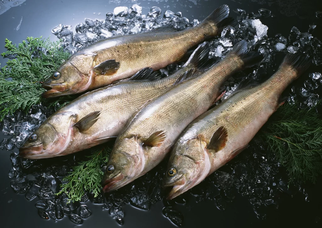 Fresh Fish Silver Scales Ice Crystals Green Herbs