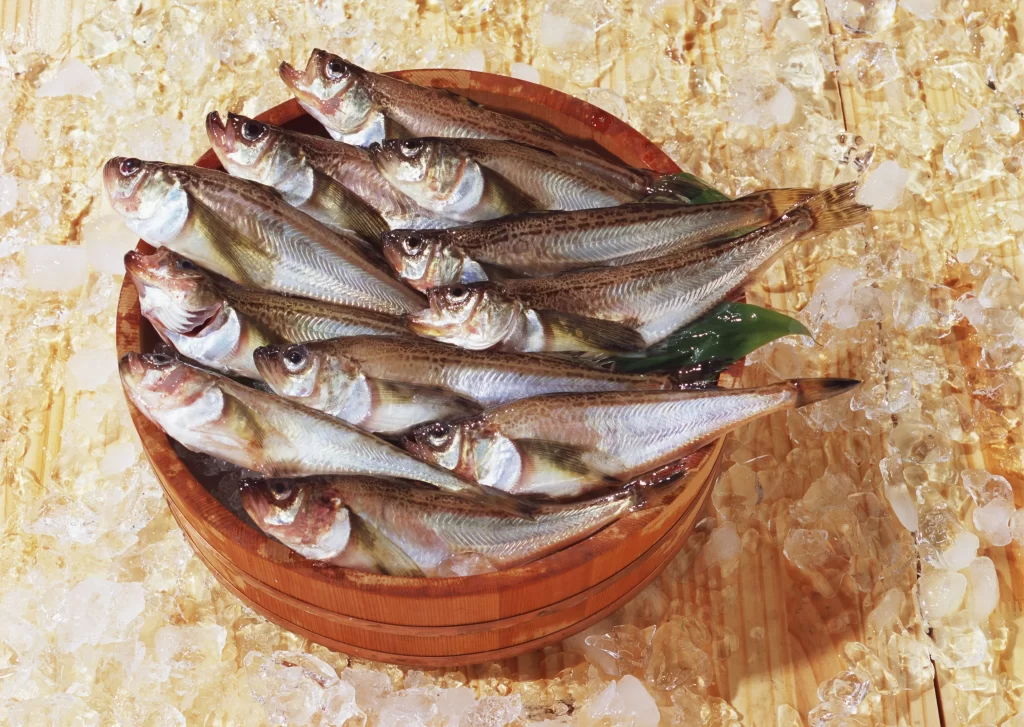 Fresh Fish Silver Scales Wooden Bowl Ice Crystals