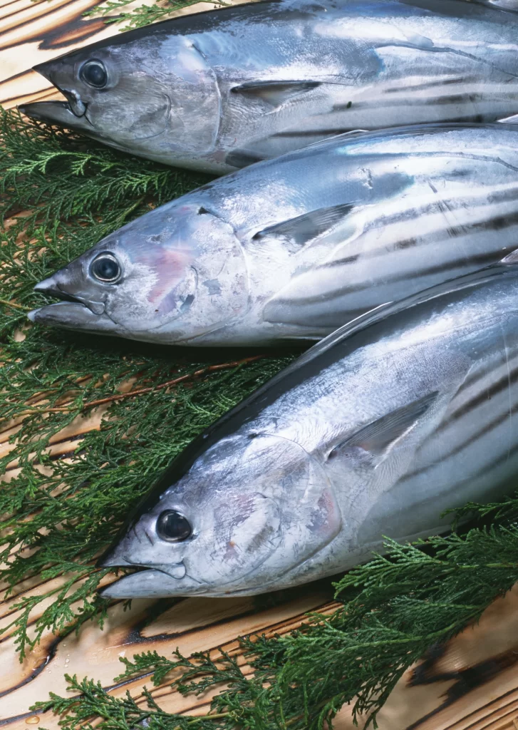 Fresh Fish Silver Skin Green Herbs