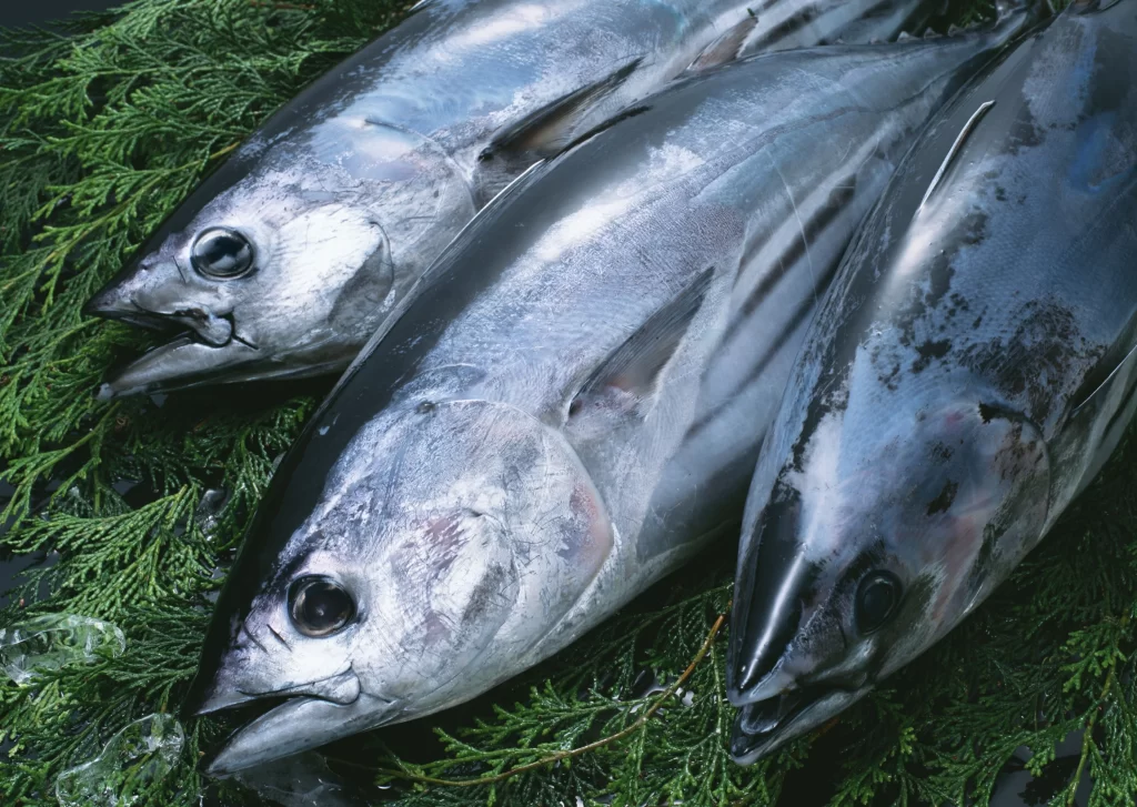 Fresh Fish Silver Skin Green Leaves