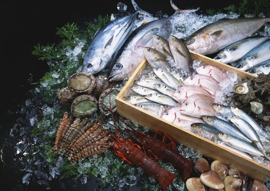 Fresh Fish Variety Ice Crisp Colorful