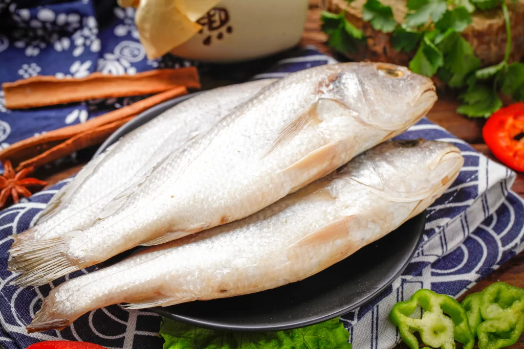 Fresh Fish White Color Raw State