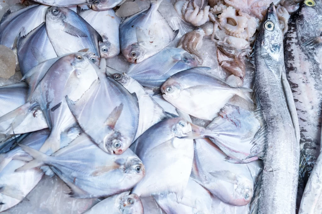 Fresh Fish White Color Seafood Variety
