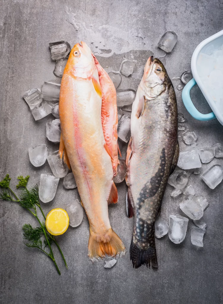 Fresh Fish Whole Orange White