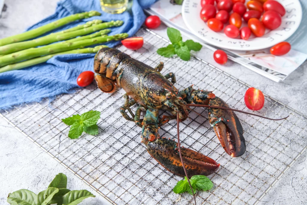 Fresh Lobster Red Shell Green Herbs