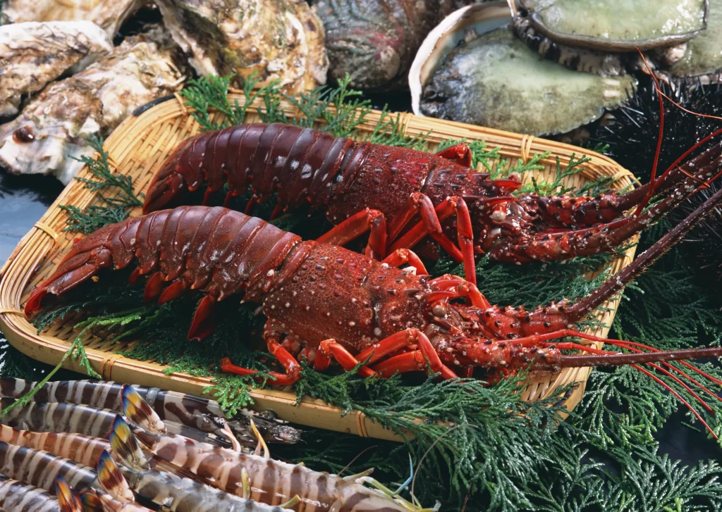 Fresh Lobster Red Shell Green Herbs