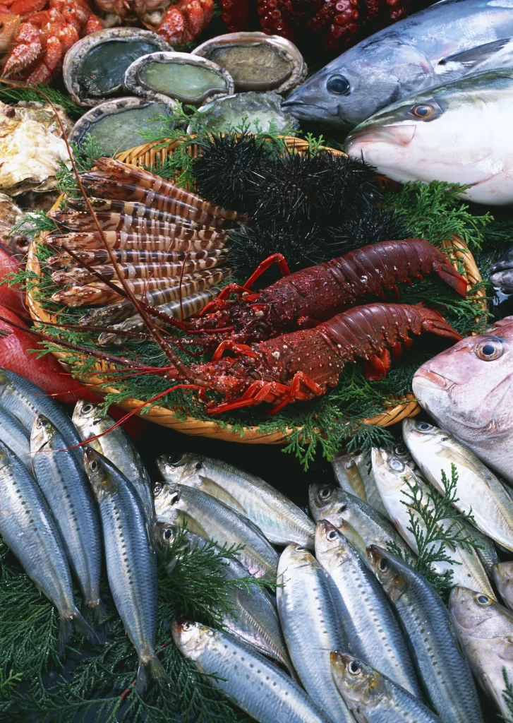 Fresh Lobster Red Shell Seafood Variety