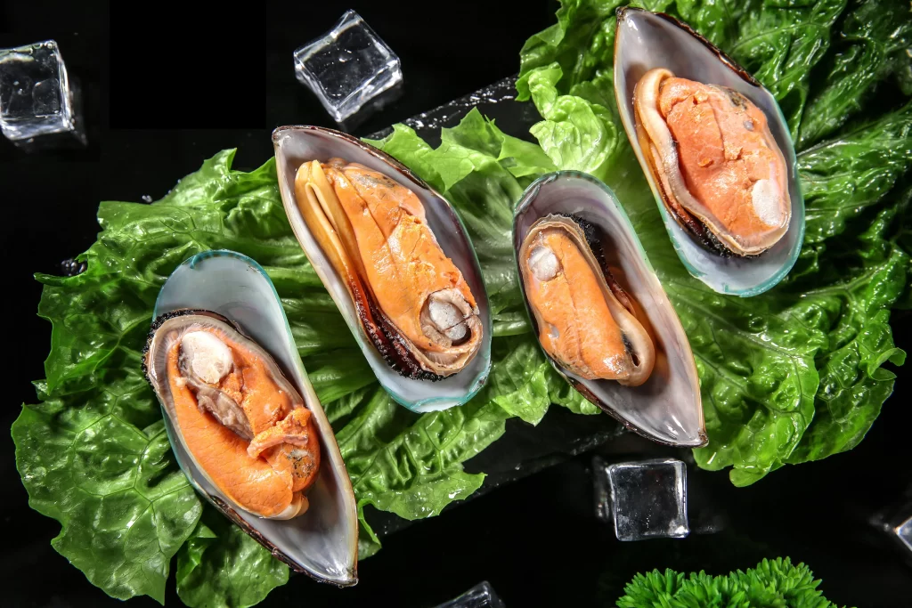Fresh Mussel Orange Shell Green Lettuce Ice Cubes