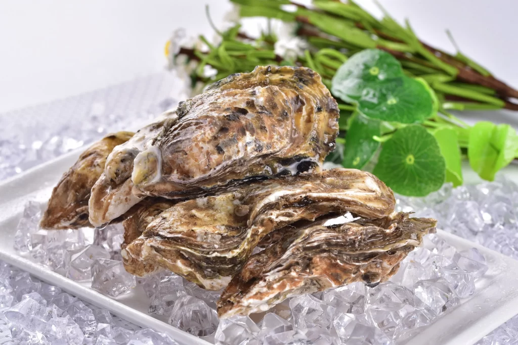 Fresh Oysters Brown Shell Ice Crystals Green Leaves