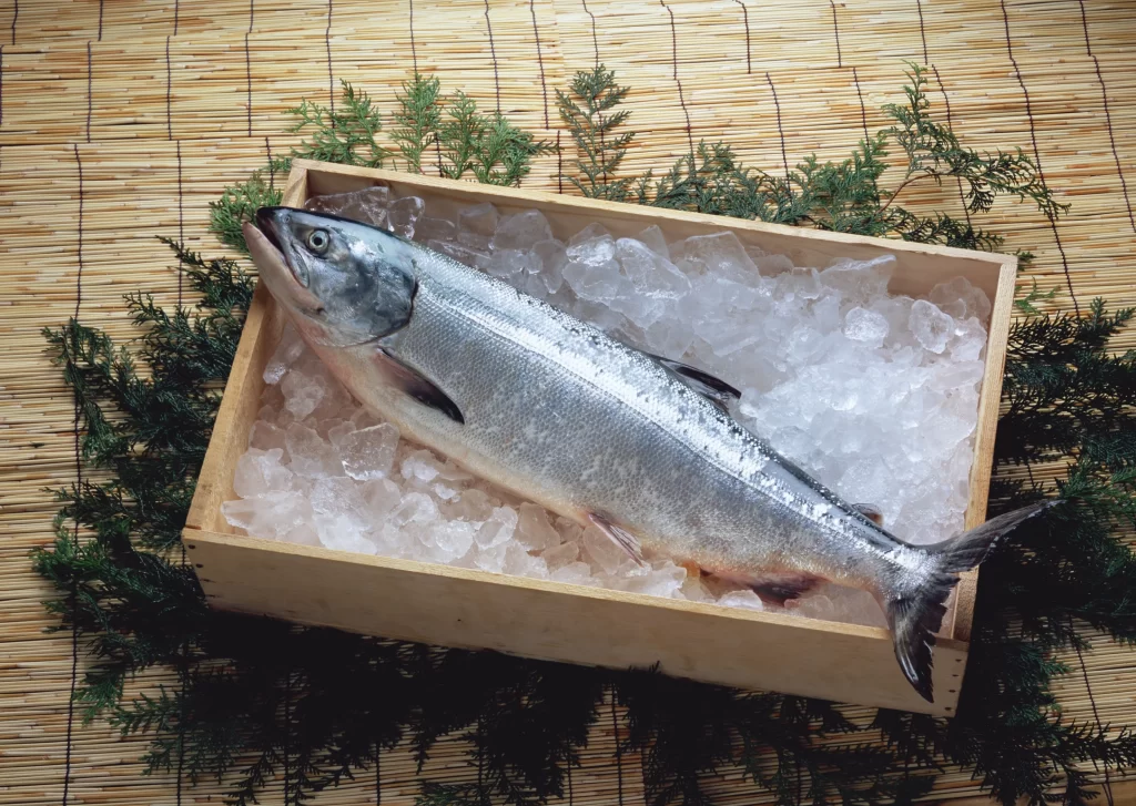 Fresh Salmon Silver Ice Greenery