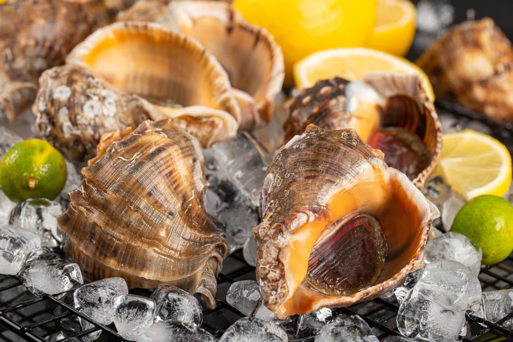 Fresh Scallop Brown Shell Ice Crystals Lemon Lime