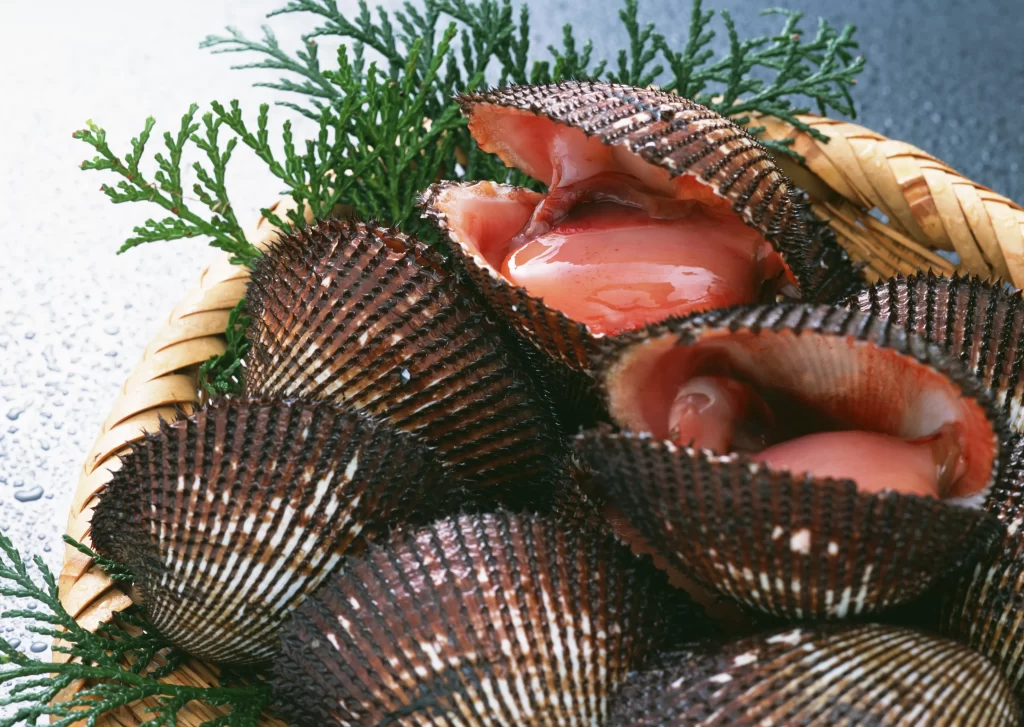 Fresh Scallop Brown Shell Pink Flesh Green Herbs