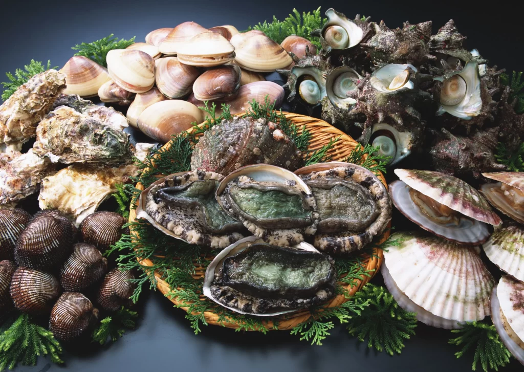 Fresh Seafood Assorted Shellfish Greenery Dark Background