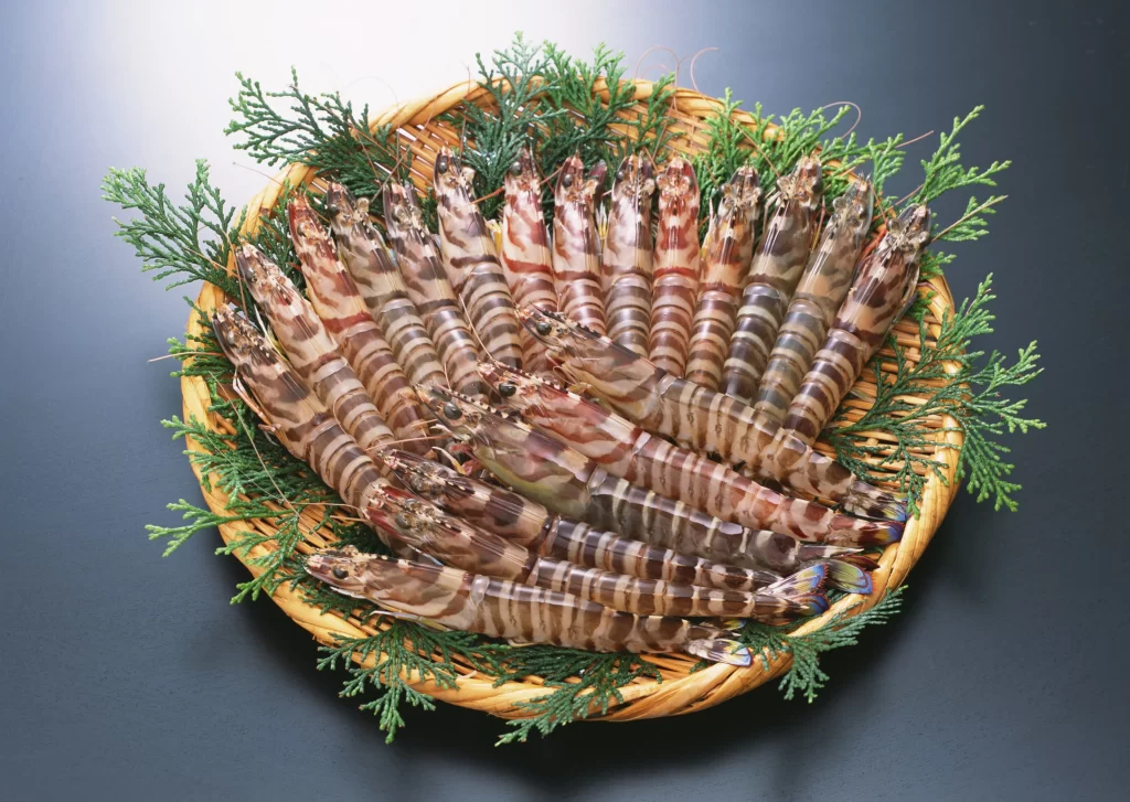Fresh Shrimp Brown Striped Green Garnish