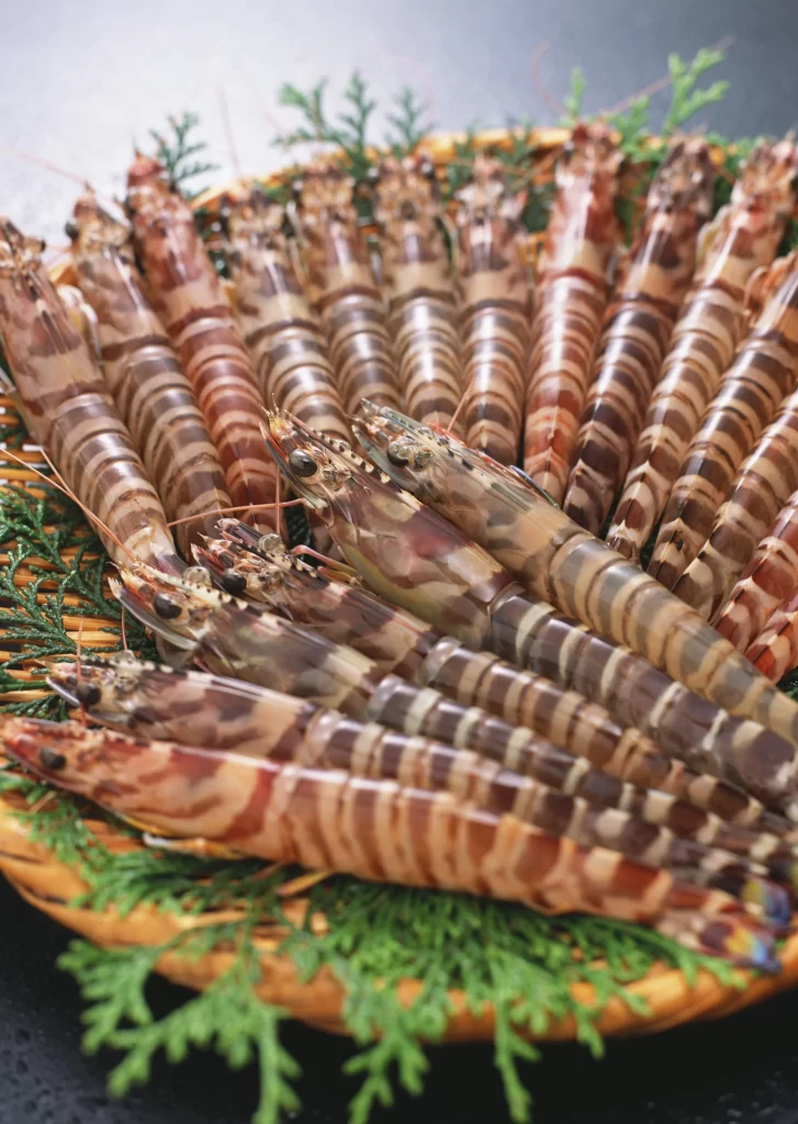 Fresh Shrimp Brown Stripes Green Leaves