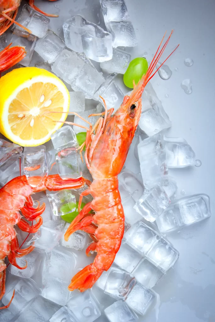 Fresh Shrimp Red Shell White Background