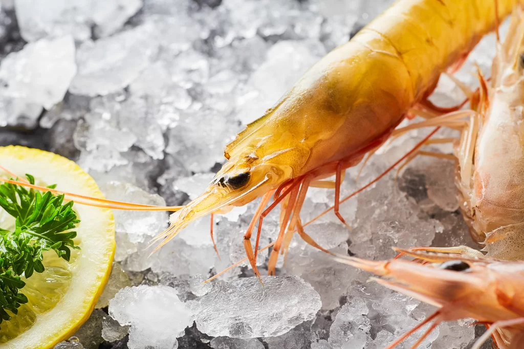 Fresh Shrimp Yellow Shell Ice Crystals Lemon