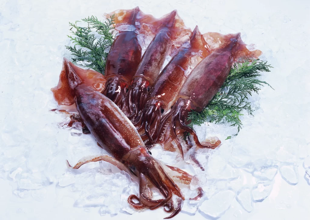 Fresh Squid Brown Color Ice Crystals Green Herbs