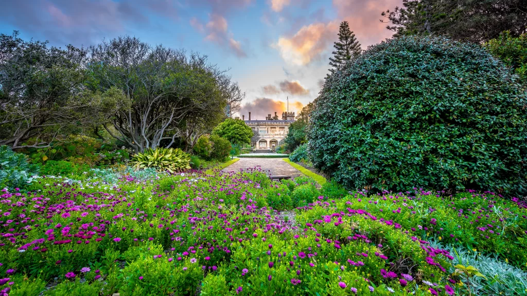 garden flowers pathway trees sunset