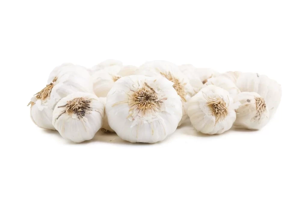 Garlic White Bulb Clove