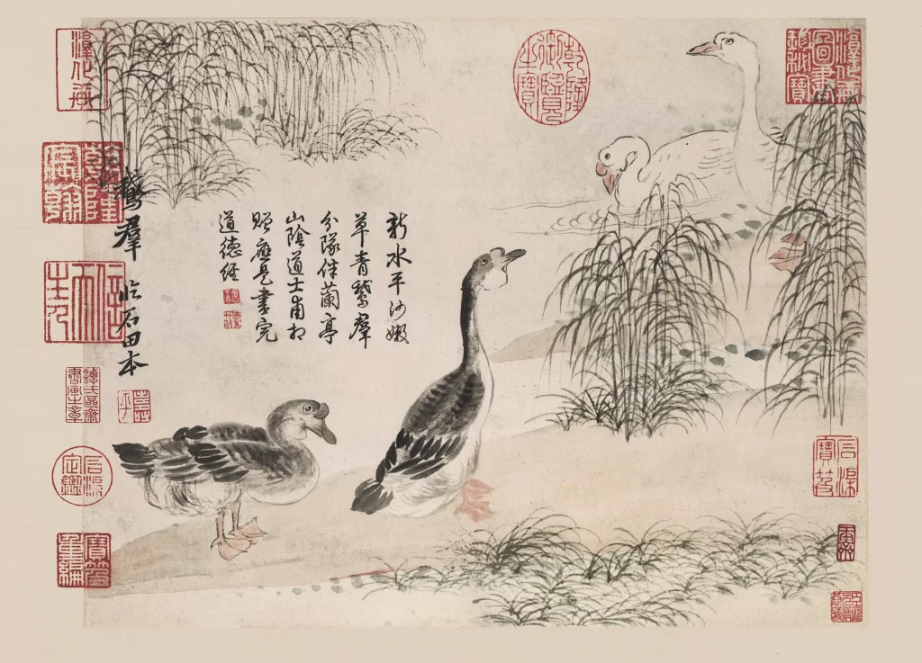 Geese Reeds Water Yun Shouping