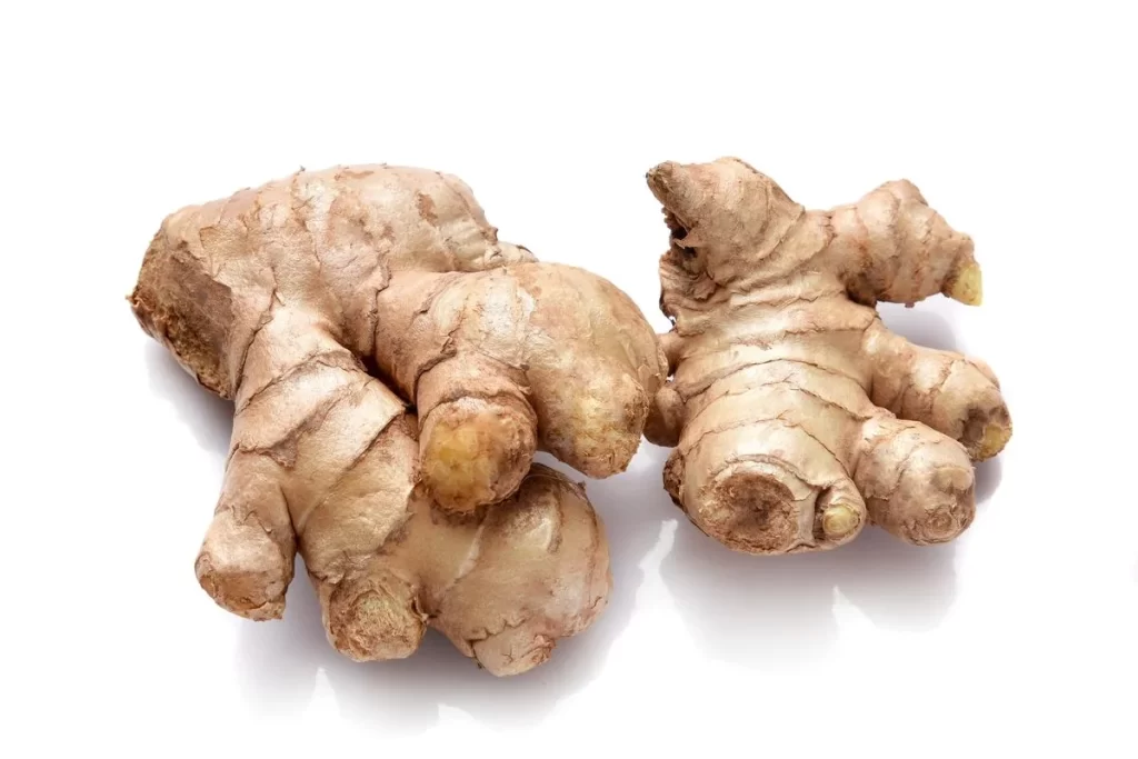 Ginger Root Brown Knobby