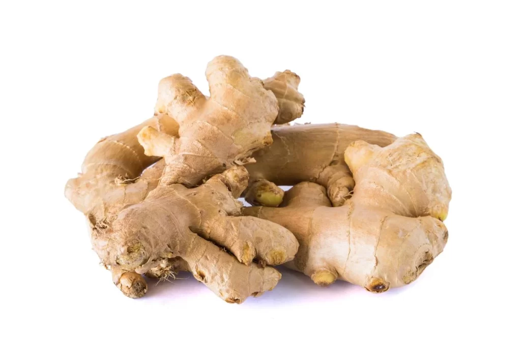 Ginger Root Brown Knobby Texture