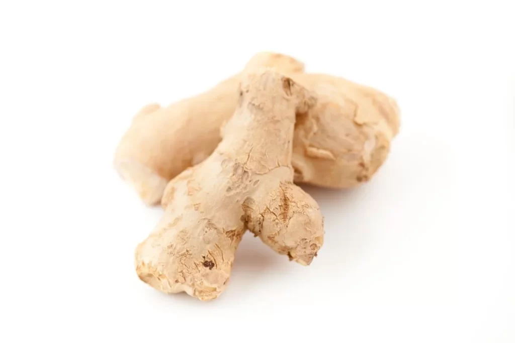 Ginger Root Brown Knobby