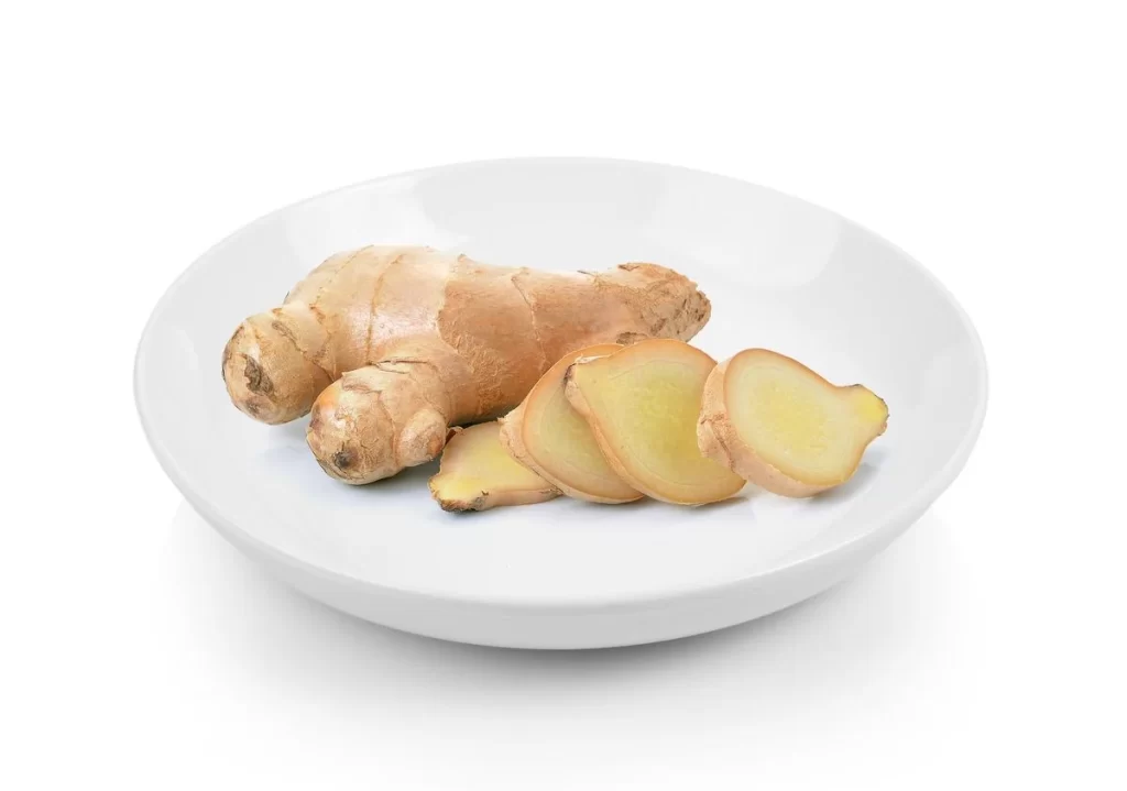 Ginger Root Yellow Knobby