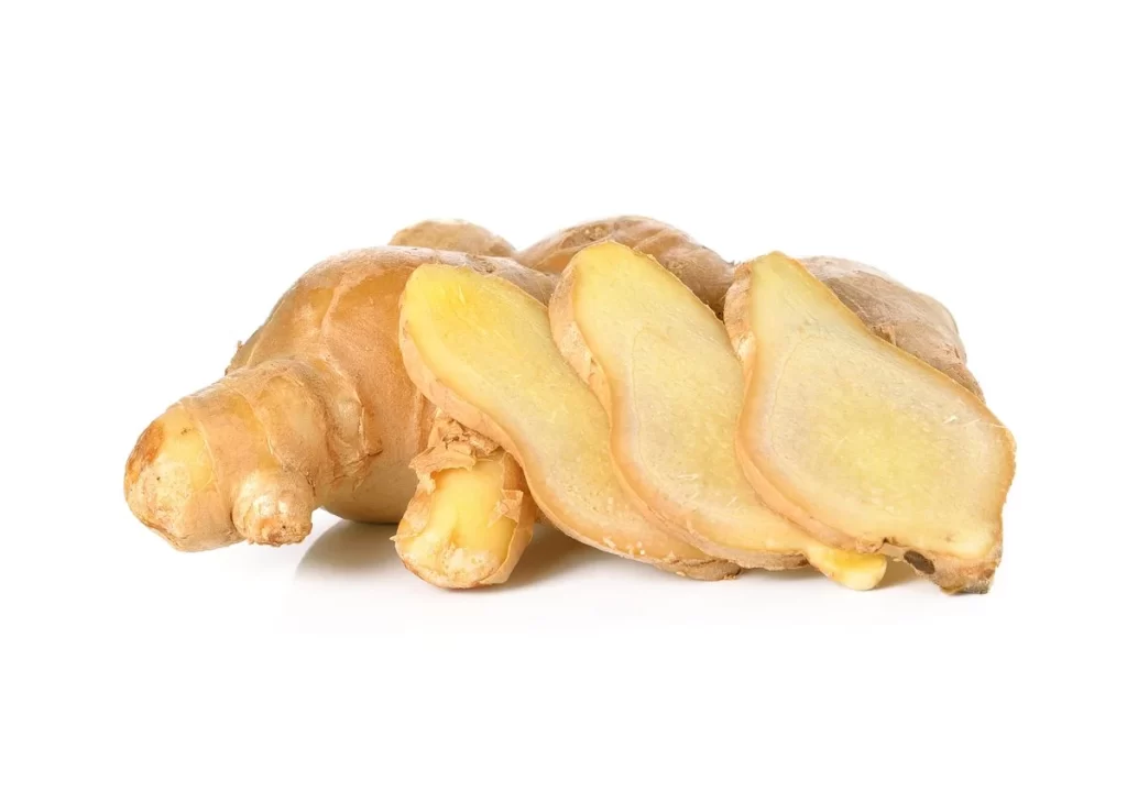 Ginger Root Yellow Knobby
