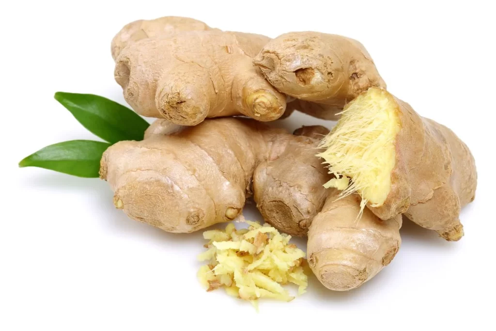 Ginger Root Yellow Knobby