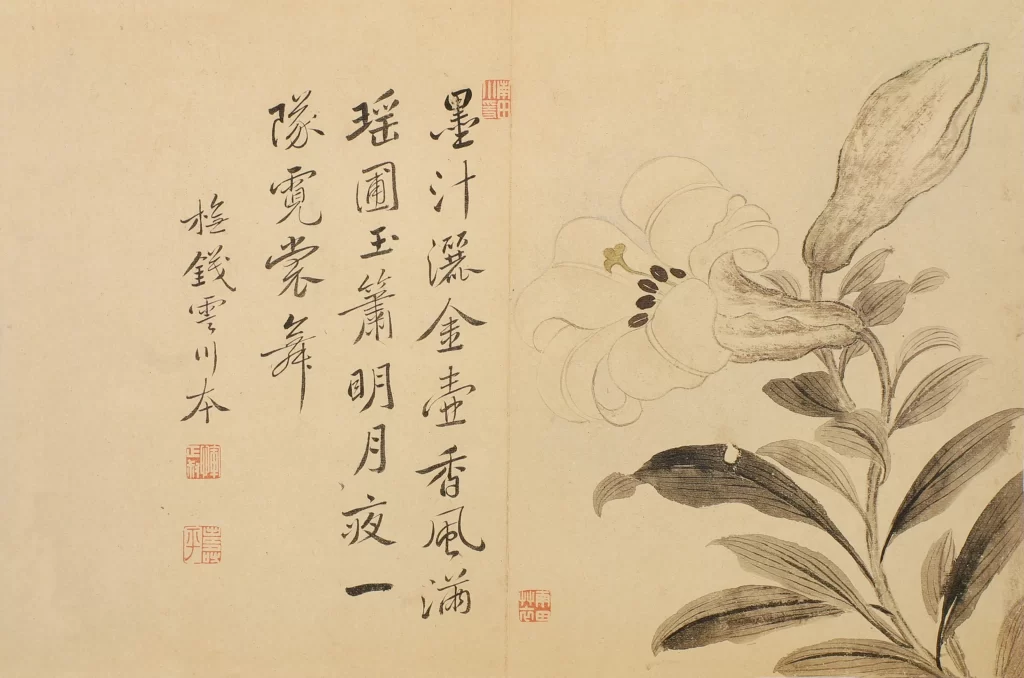 Gold Flecked Magnolia Yun Shouping