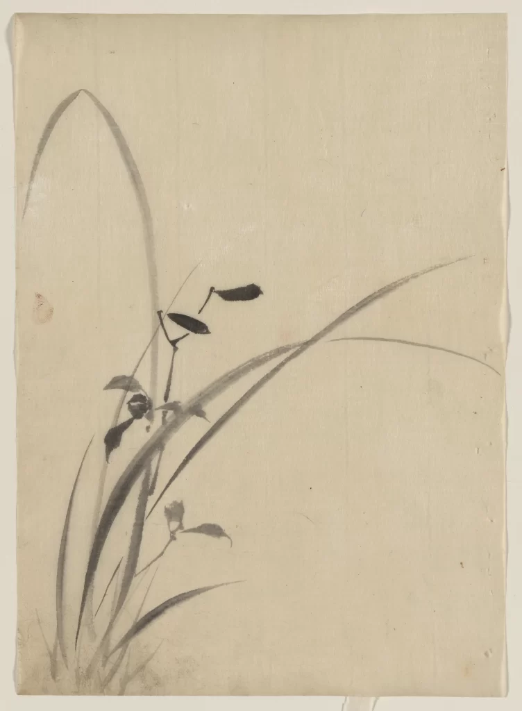 Grass Leaves Minimalist Monochrome Delicate Japanese