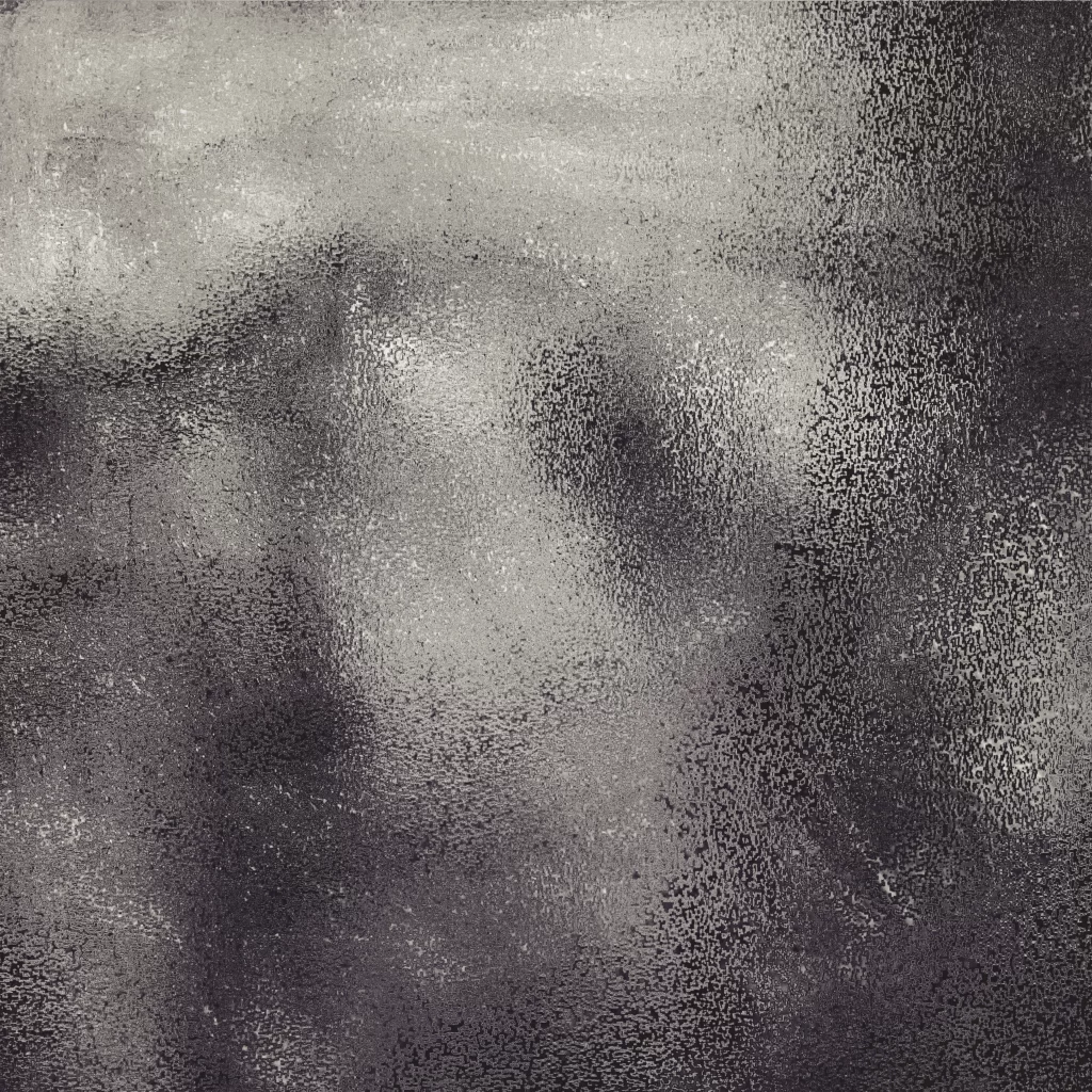 Grayscale Grainy Obscured Portrait Abstract Texture