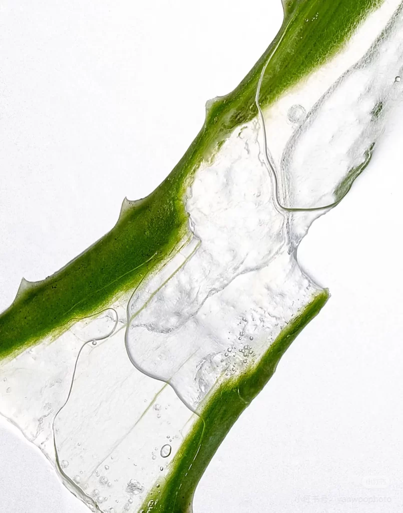 Green Algae Clear Water Bubbles Texture