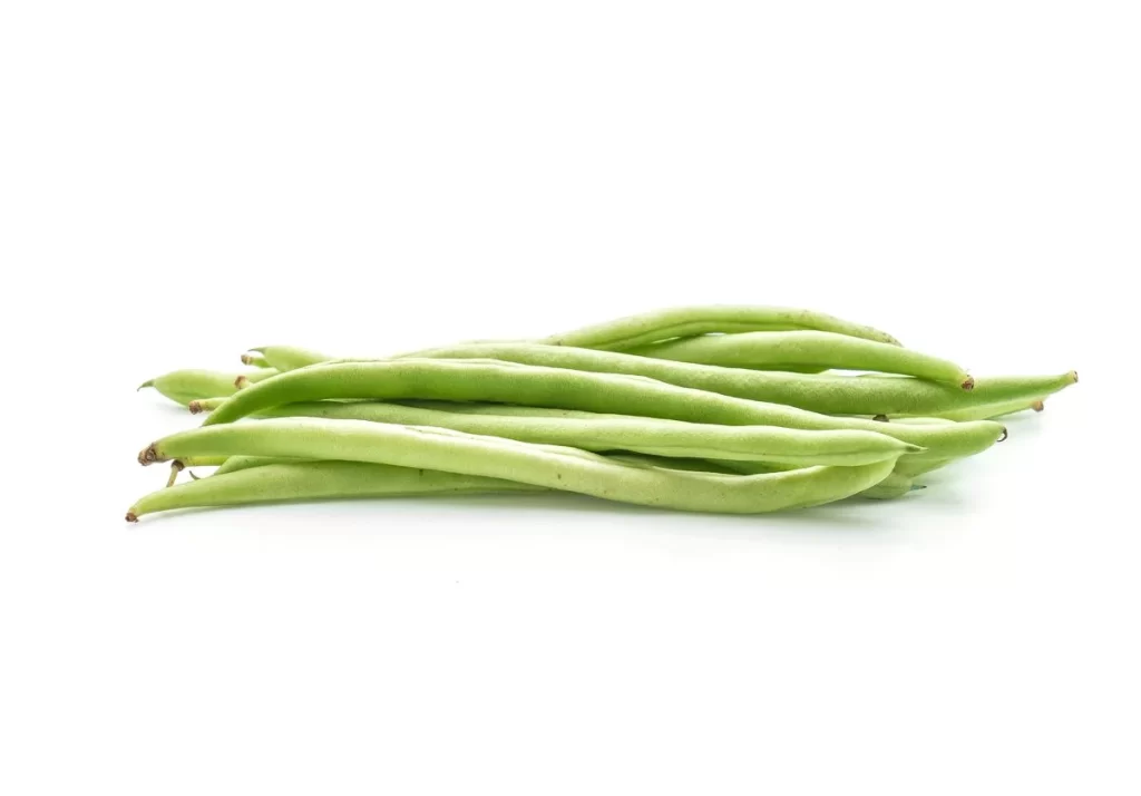 Green Bean Long Fresh Crisp