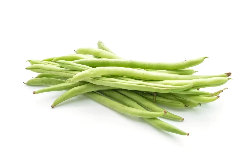 Green Bean Long Fresh Crisp