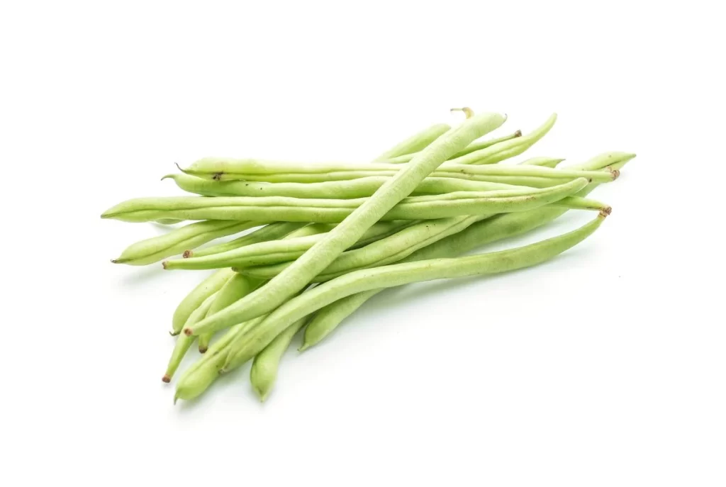 Green Bean Long Fresh Crisp