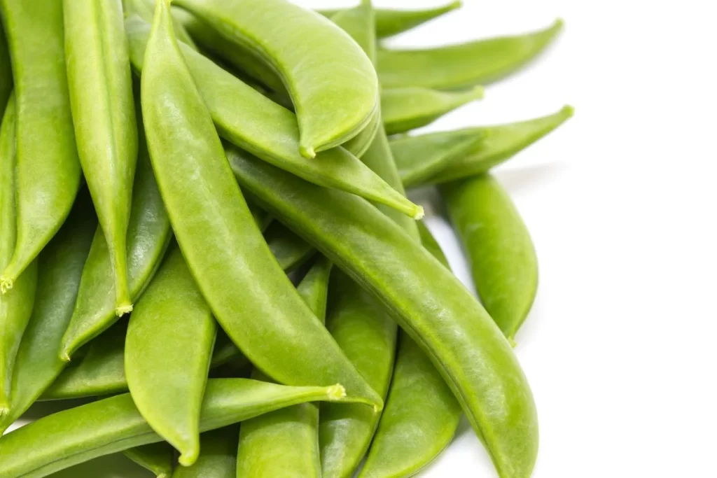 Green Bean Long Fresh Crisp