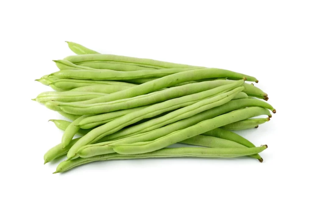 Green Bean Long Fresh Crisp
