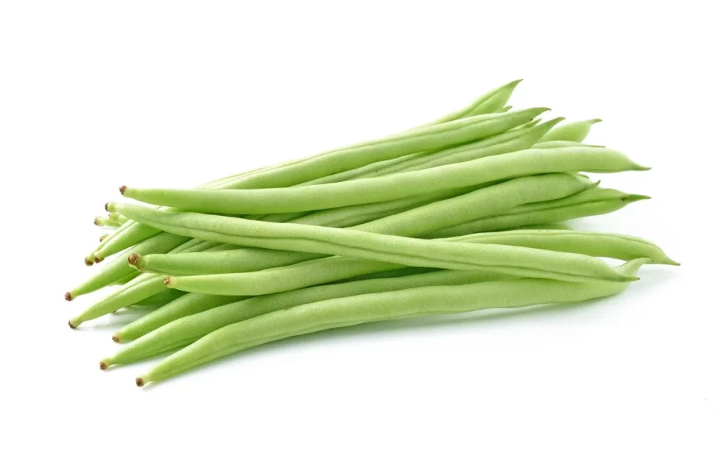 Green Bean Long Fresh Crisp