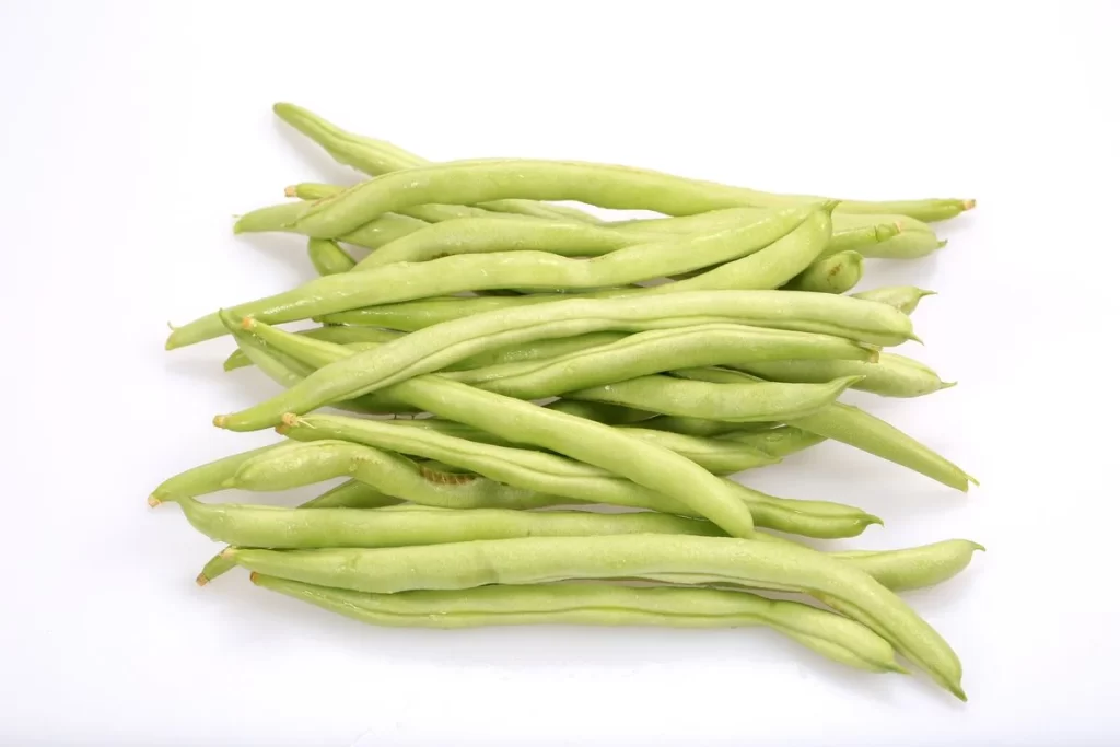Green Bean Long Fresh Crisp